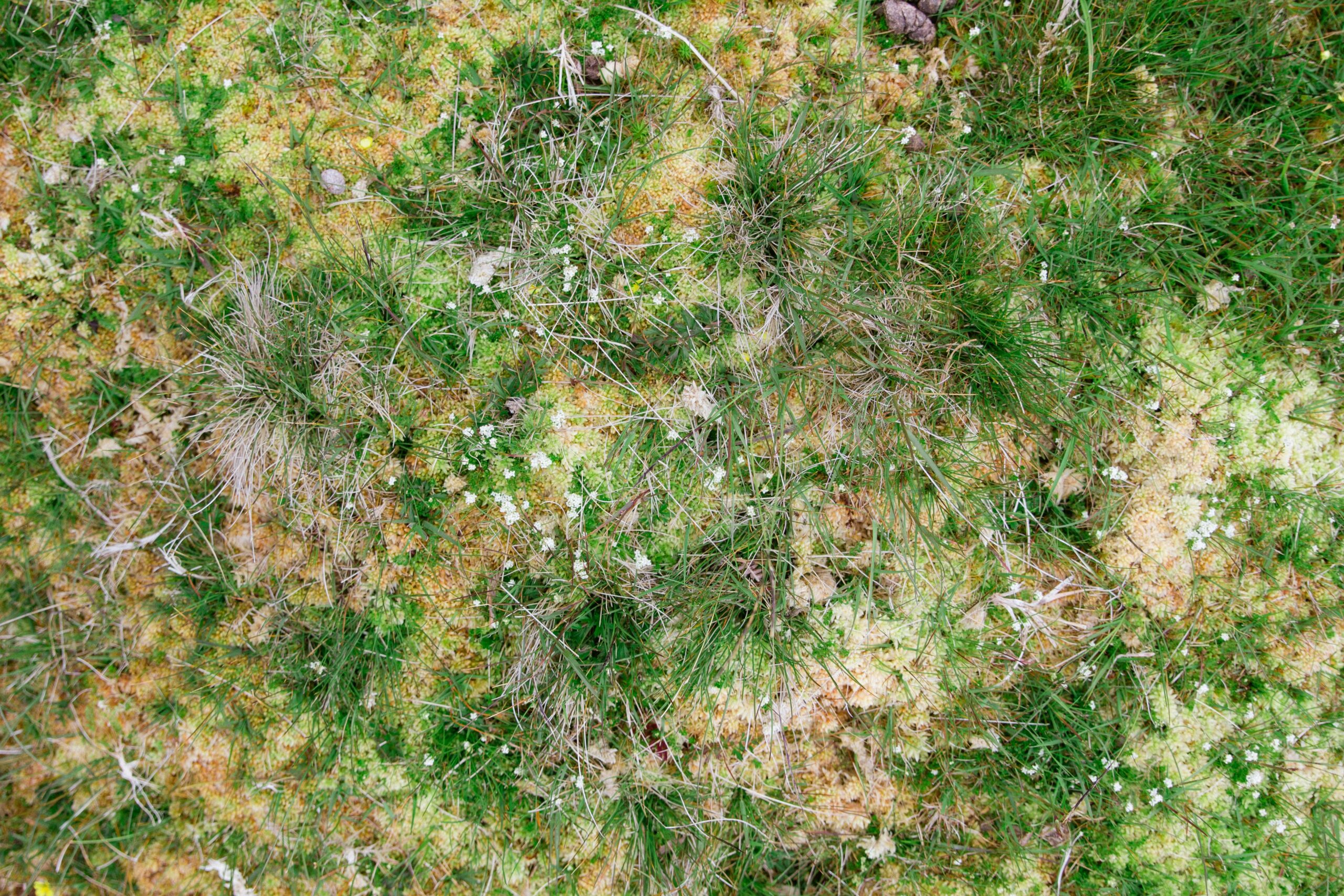 Kindling and Benzodiazepines: Why Failed Tapers Make It Harder